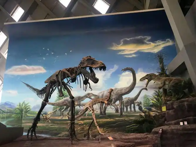 赣州市厚德书院一(五)班 "寻根塑源探索生命" 研学活动