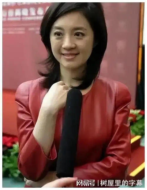 为娶前央视知名主持人,富豪丁健给前妻一亿离婚费,孩子也给她了|肖桦