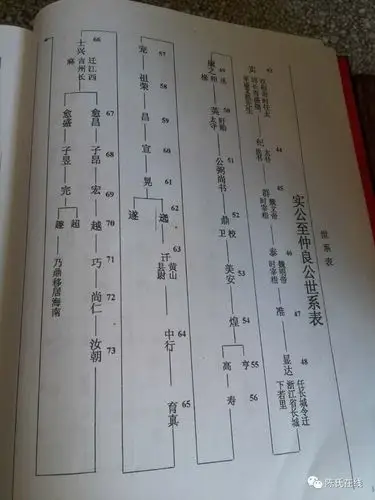 陈氏家谱一个家族的历史传承