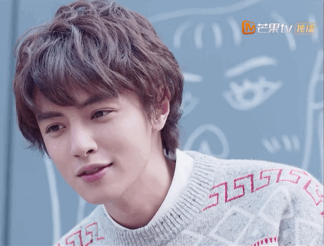 > 新流星花园 沈月 王鹤棣 官鸿 梁靖康 吴希泽