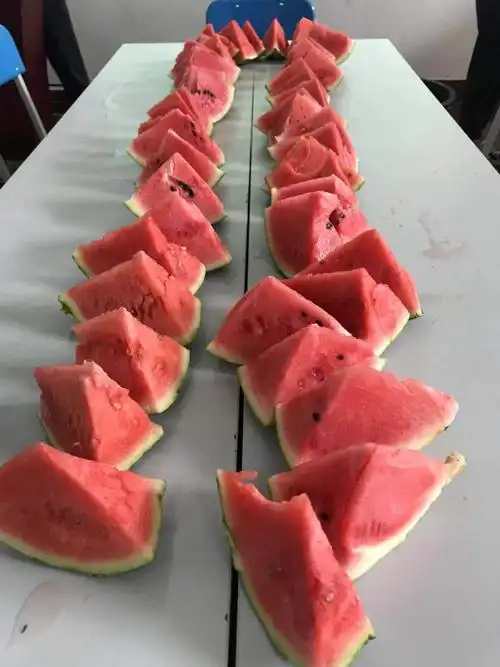 a2197班吃西瓜大赛