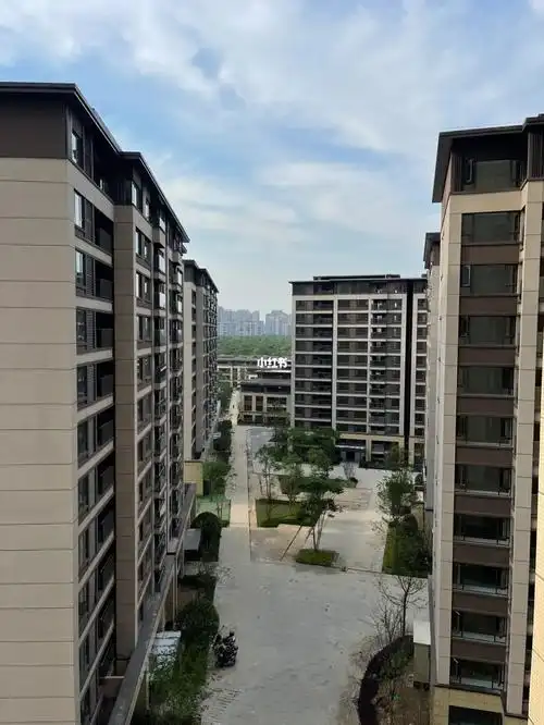 成都高新区  #中洲锦城湖岸  #锦城湖公园  #读蒙彼利埃小学 #新房