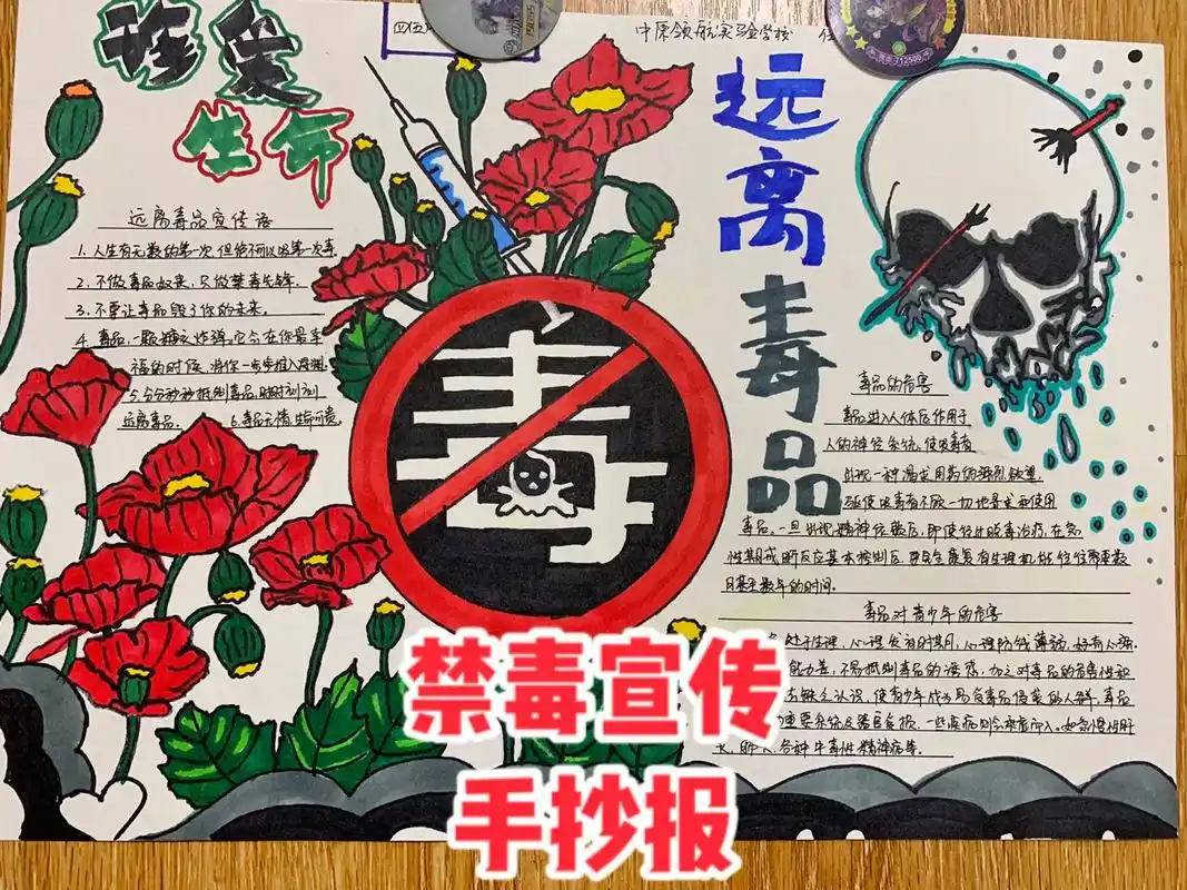 小学禁毒宣传手抄报思维导图.