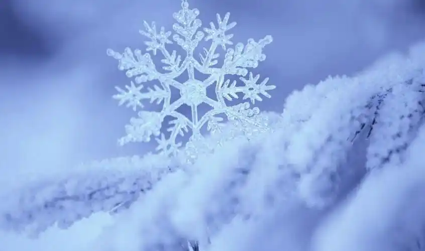 《假如我是一片雪花》