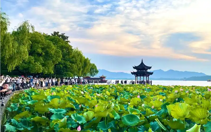 淡妆浓抹总相宜——夏日西湖
