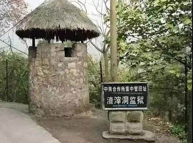 27重庆大屠杀纪念日】还记得那个"小萝卜头"吗?