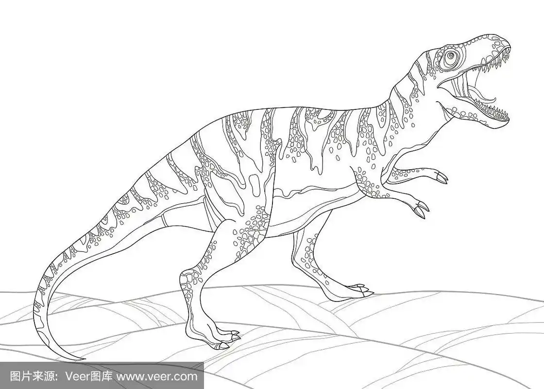 矢量插图的暴龙或雷克斯暴龙孤立在白色.