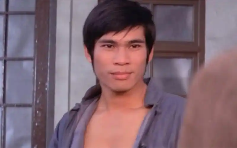 陈观泰27～73岁月变化,邵氏经典武打演员