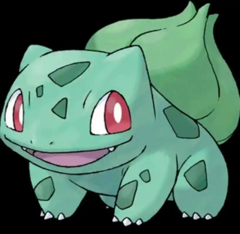 「宝可梦知多少1」蒜头王八是也