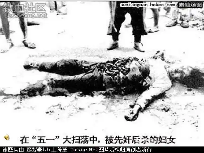 在南京大屠杀纪念碑前ppt