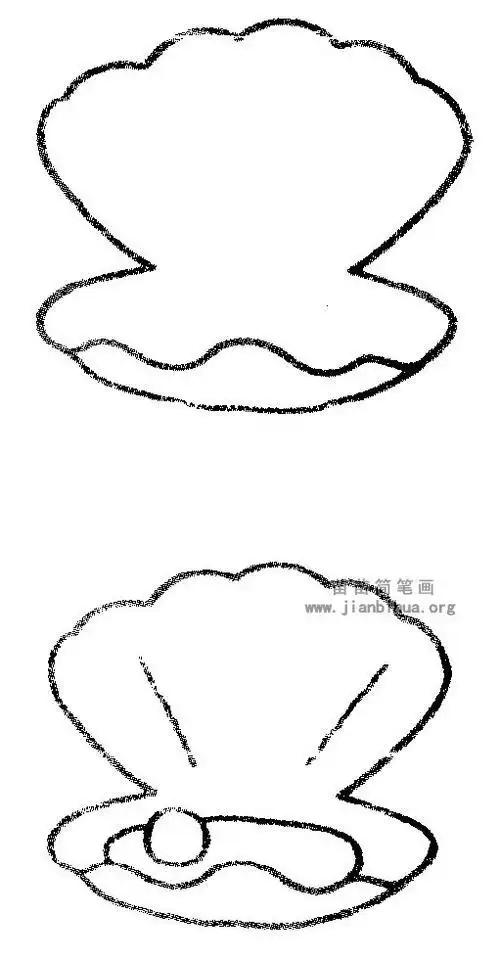 珍珠河蚌简笔画