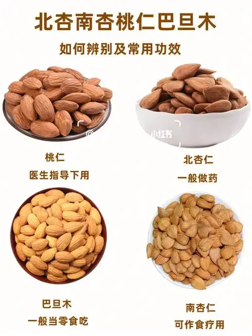 北杏仁南杏仁桃仁巴旦木区别及用法