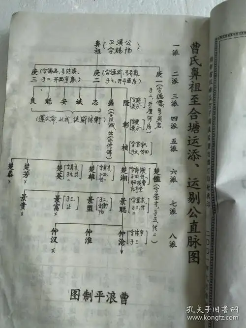 宗谱 地祖谱曹姓家谱族谱家谱制作怎么写曹氏族谱表家谱范本曹氏家谱