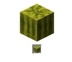 我的世界西瓜怎么种 我的世界西瓜种植教程