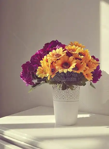 暖洋洋的上午时光