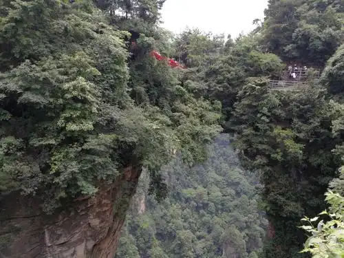 乱窜坡上美如画