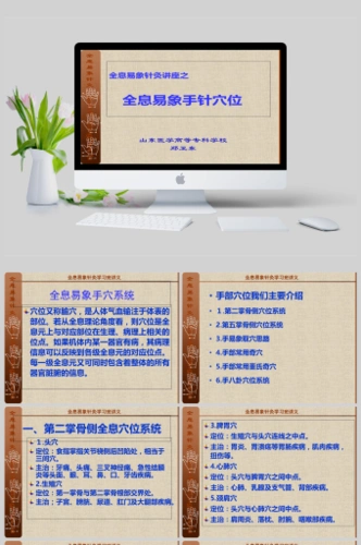 全息易象针灸-手针穴位系统ppt模板