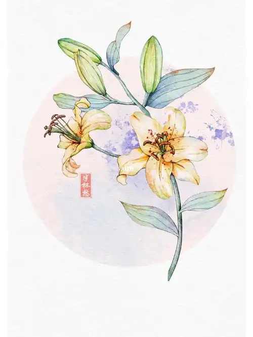 零基础入门ipad水彩60100水仙花附步骤