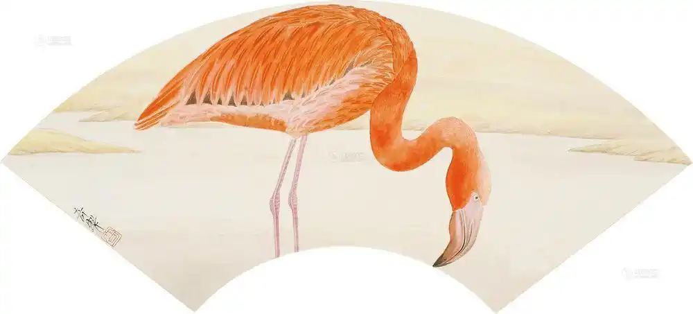 > 杨立奇 火烈鸟 日本镜片