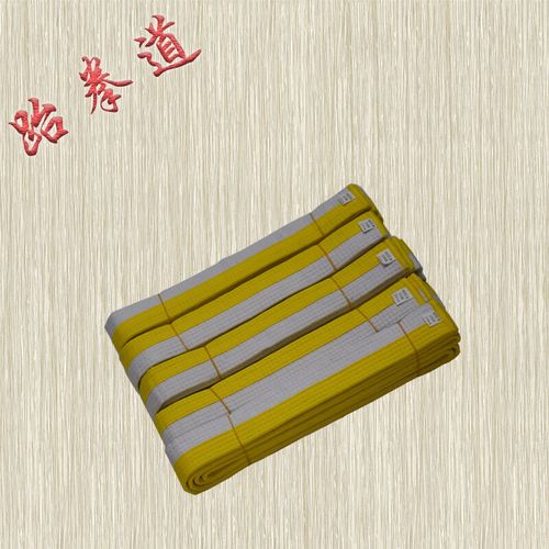 泰瑞格跆拳道腰带 跆拳道道带 柔道腰带 棉芯道带 跆拳道颜色带 白