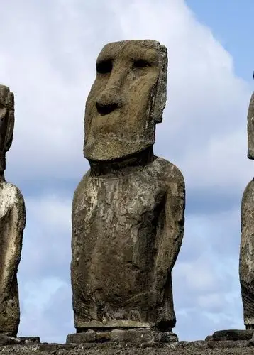 结果,建造巨石像的结果是耗尽了自然资源,导致灭绝.