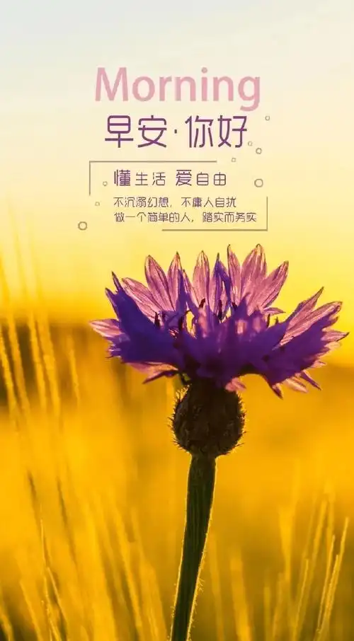 早安!更多的精彩情感,哲理,美文;敬请关注微信公