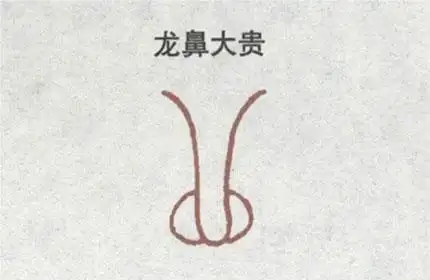 龙鼻对面相有什么影响呢