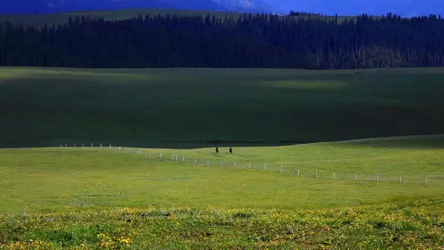 新疆喀拉峻草原风景,高清图片,电脑桌面-壁纸族
