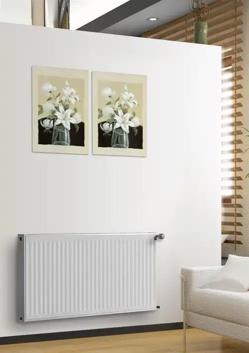 安全无尘快捷15年专注二手房明装暖气