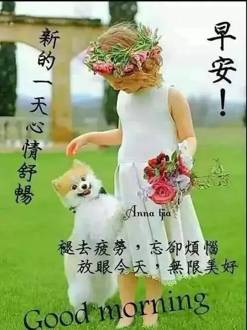 7月24日星期三朋友早上好问候语图片早上好祝福语温馨表情包