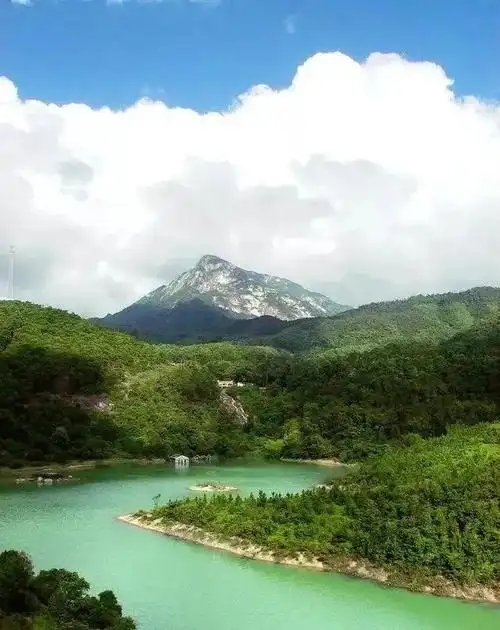 台山市北峰山国家森林公园 北峰古寺 樱花谷2大1小家庭套票