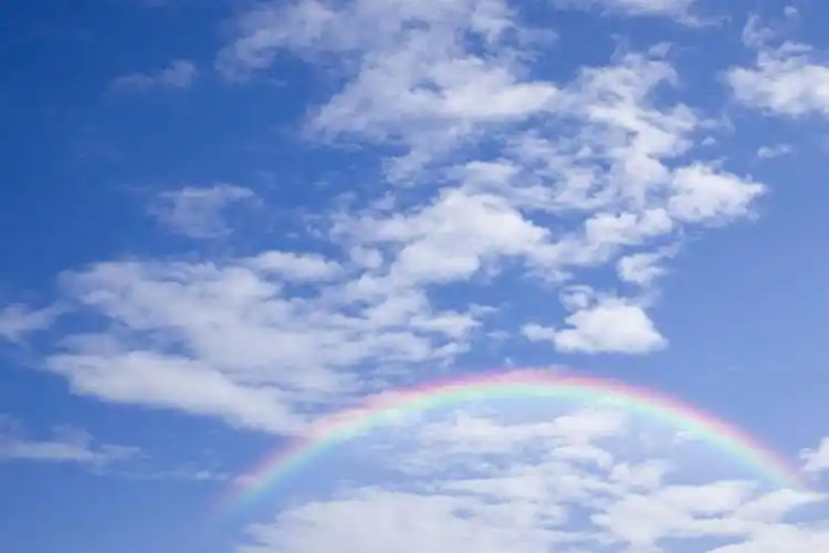 阳光,自然,天,享受,休闲,景色,放松,晴朗,自然风光,虹,虹桥,七彩虹