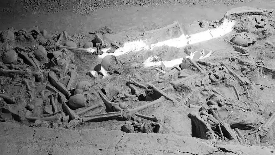 长平之战,真败于赵括无能吗?