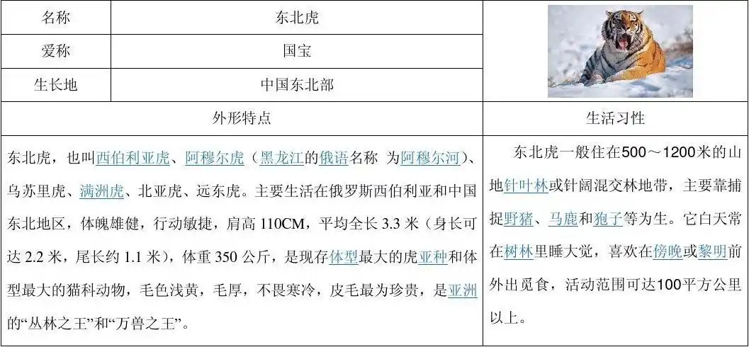 > 动物小档案第1页 相关主题 你可能喜欢 小动物习作 动物资料 作文