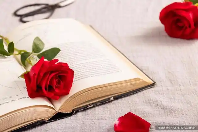 唯美好看的玫瑰花与书图片