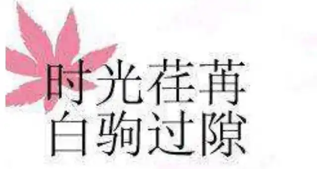 时光荏苒白驹过隙全诗