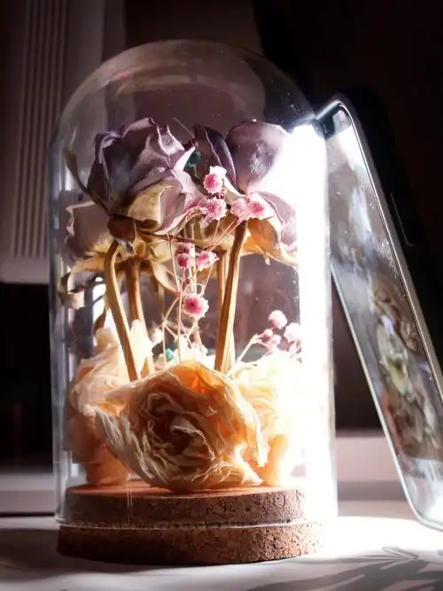 永生花花语"永不凋零的爱""守护的爱"关于爱情,亲密关系,我最近一直都