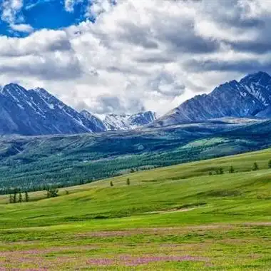 绿色草甸草原风景qq高清头像图片唯美头像