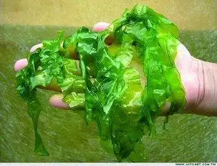 sargassum  [来源] 本品为马尾藻科植物海蒿子 sargassum pallidnm