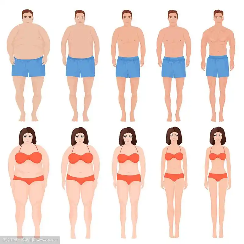 卡通男女减肥阶段前和后