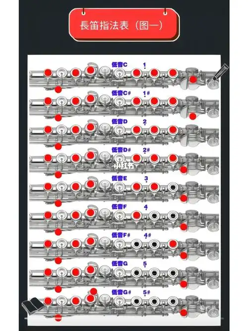 长笛所有指法分享,是所有噢92#长笛  #音阶