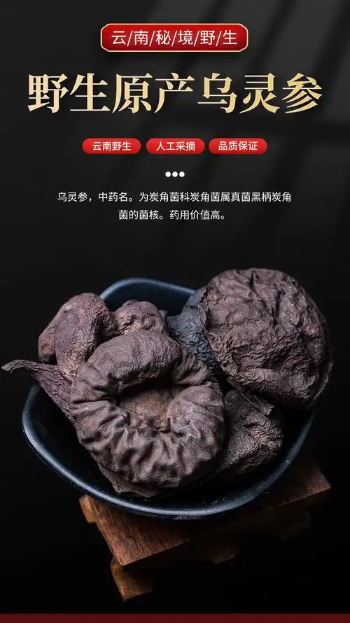 乌灵参中药材 野生乌灵参 鸡枞蛋 雷震子 吊金钟 乌苓参 【小货】30克