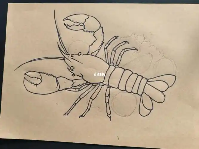 儿童画龙虾02