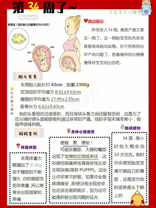 孕进入34周,离预产期又更近一周了,这一周胎宝宝的各项发育都渐渐趋向