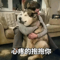 邓家佳结束十年爱情没了婚姻小姨妈还有唐氏表演法则