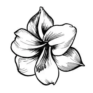 黑出图片-黑出素材-黑出插画-摄图新视界