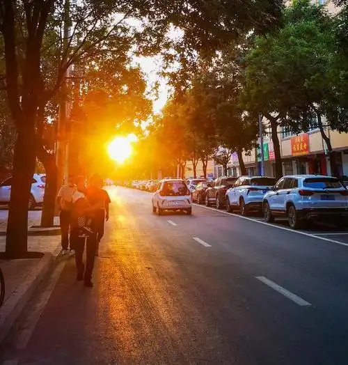 9月13日,傍晚日落时分,夕阳穿过高大的树木照耀着景泰县一条山镇的