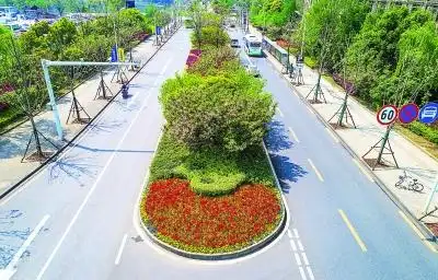 机场二通道湿地生态带建成 打造武汉都市田园美景