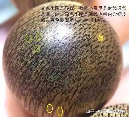 当然在沉香木的基础上做假就需要深入探讨了,具体可以关注公众号 千千