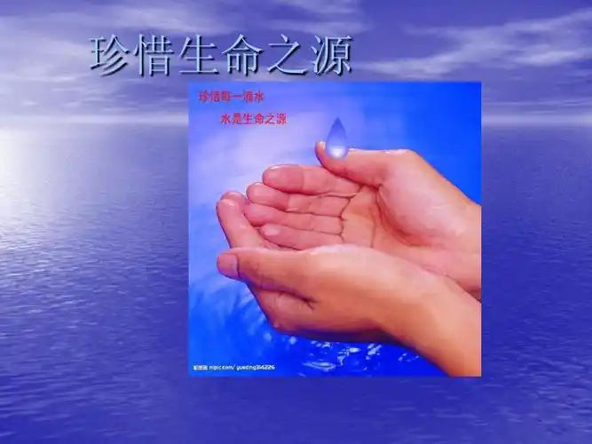 初中综合实践,珍惜生命之源ppt